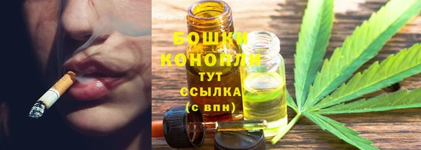ешки Богданович