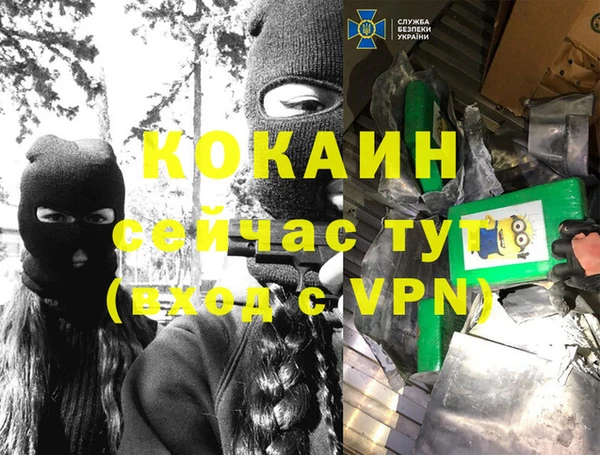 трава Богородицк