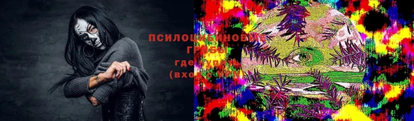 трава Богородицк