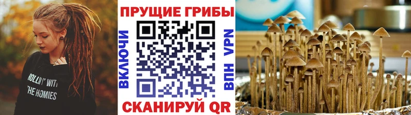 Галлюциногенные грибы мухоморы Купить где Реж